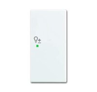 BUSCH-JAEGER Wippe 6234-22-914 2fach Dimmer alpinweiß
