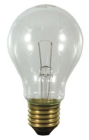 Scharnberger & Hasenbein Leuchtmittel AGL B 60x105...