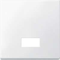 MERTEN Wippe 433819 Symbolfenster polarweiß M