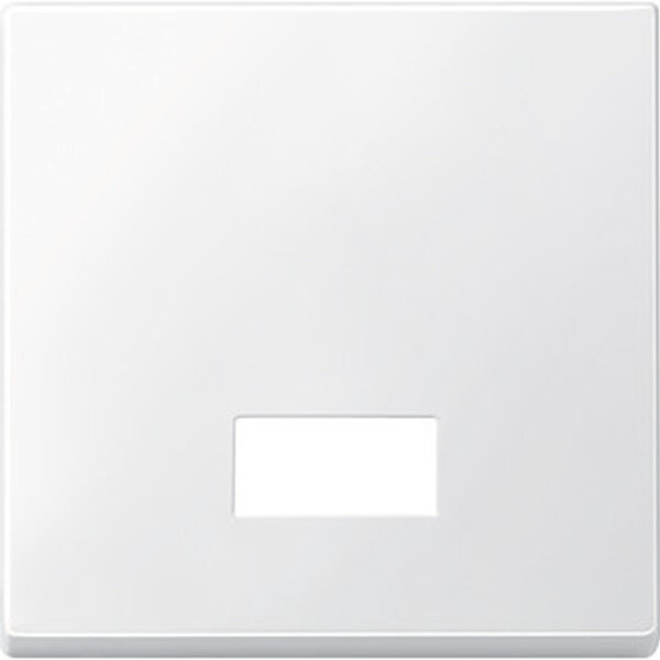 MERTEN Wippe 434819 Symbolfenster polarwei&szlig; M