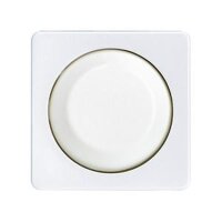 ELSO Zentralplatte 207014 mit Drehknopf  Dimmer...